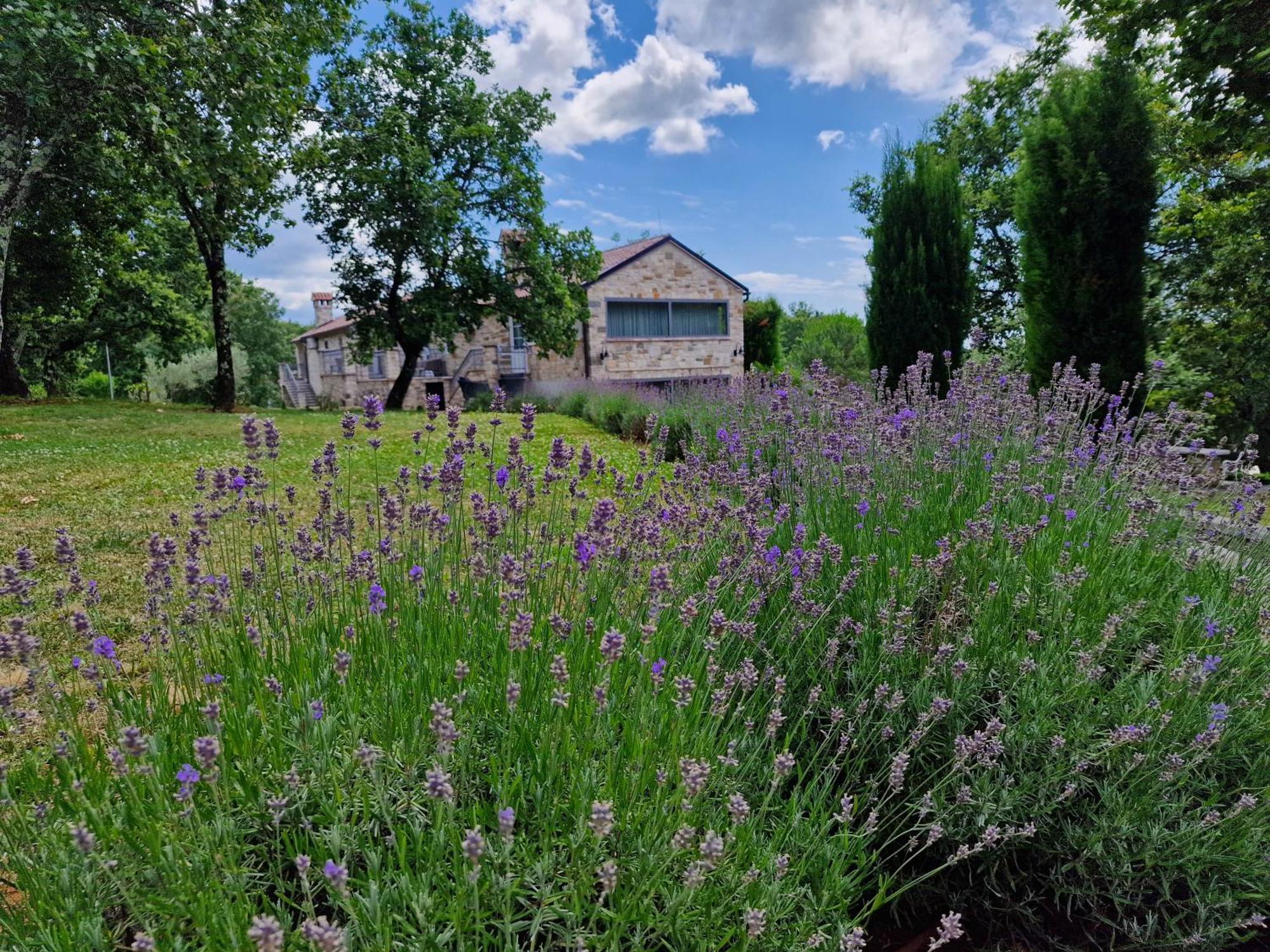 Stancija Ruseti Bed & Breakfast Oprtalj ภายนอก รูปภาพ