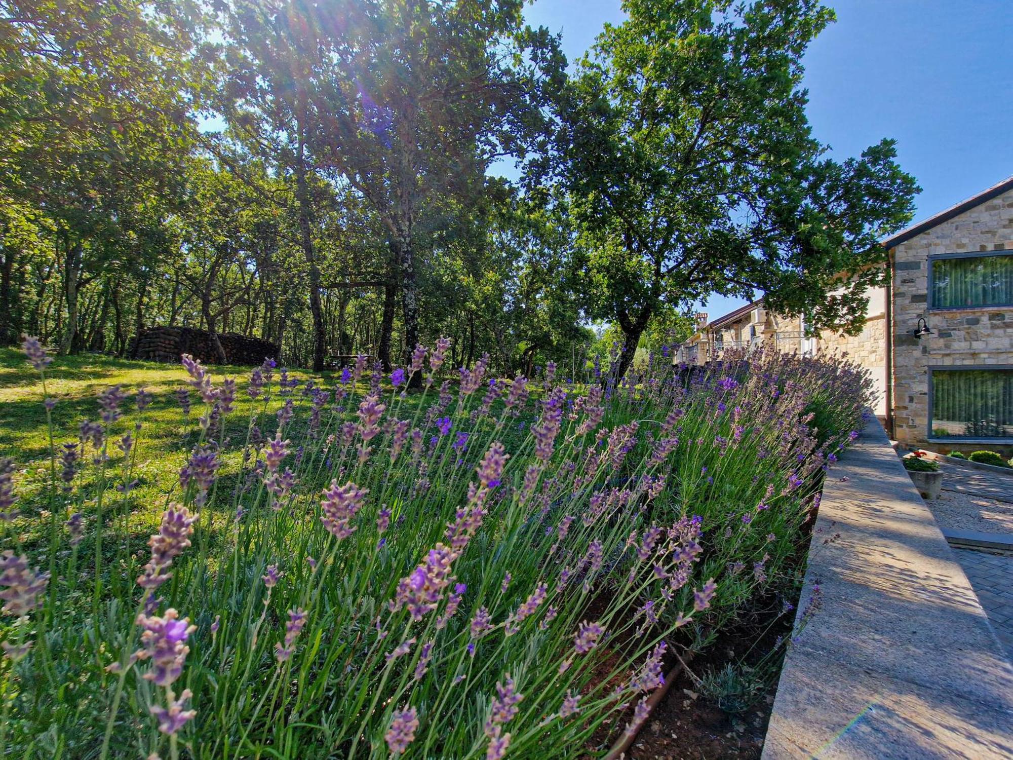 Stancija Ruseti Bed & Breakfast Oprtalj ภายนอก รูปภาพ